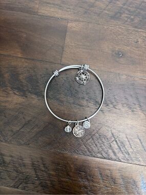 Cute and Versatile Silver Expandable Charm Bangle Bracelet with Coin Charms
